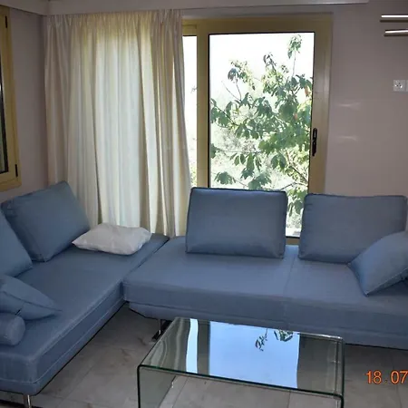 Adela Lefkas Daire