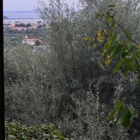 Daire Adela Lefkas
